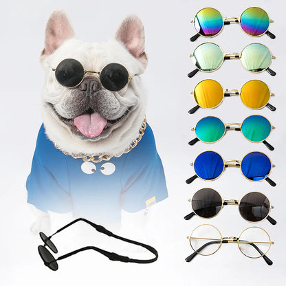 Pet Sunglasses – Trendy Retro Eyewear for Cats & Small Dogs
