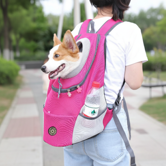 Pet Travel Backpack | Breathable Mesh & Padded Straps for Comfort