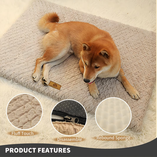 Orthopaedic Dog Bed | Washable Faux Fur & Joint Support