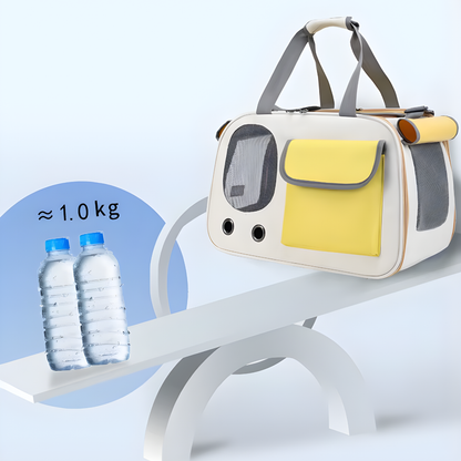 Travel Cat Carrier | Breathable Mesh, Foldable & Safe for Travel