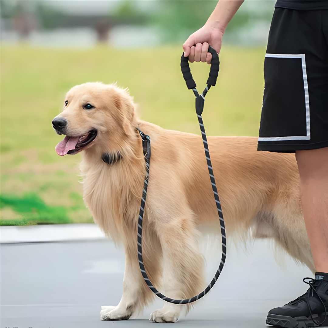 Heavy Duty Dog Lead | Padded Handle, Reflective Rope