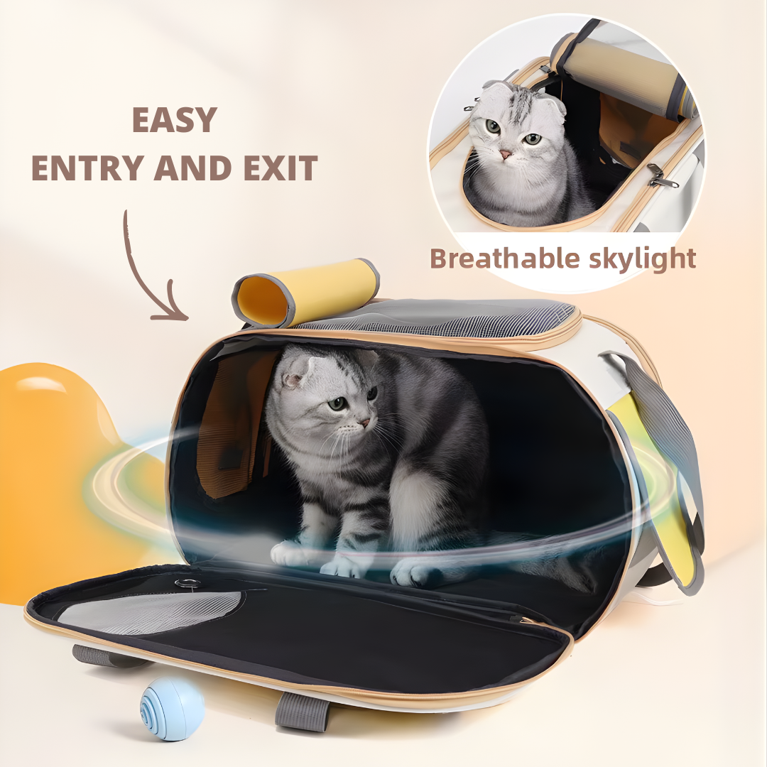 Travel Cat Carrier | Breathable Mesh, Foldable & Safe for Travel