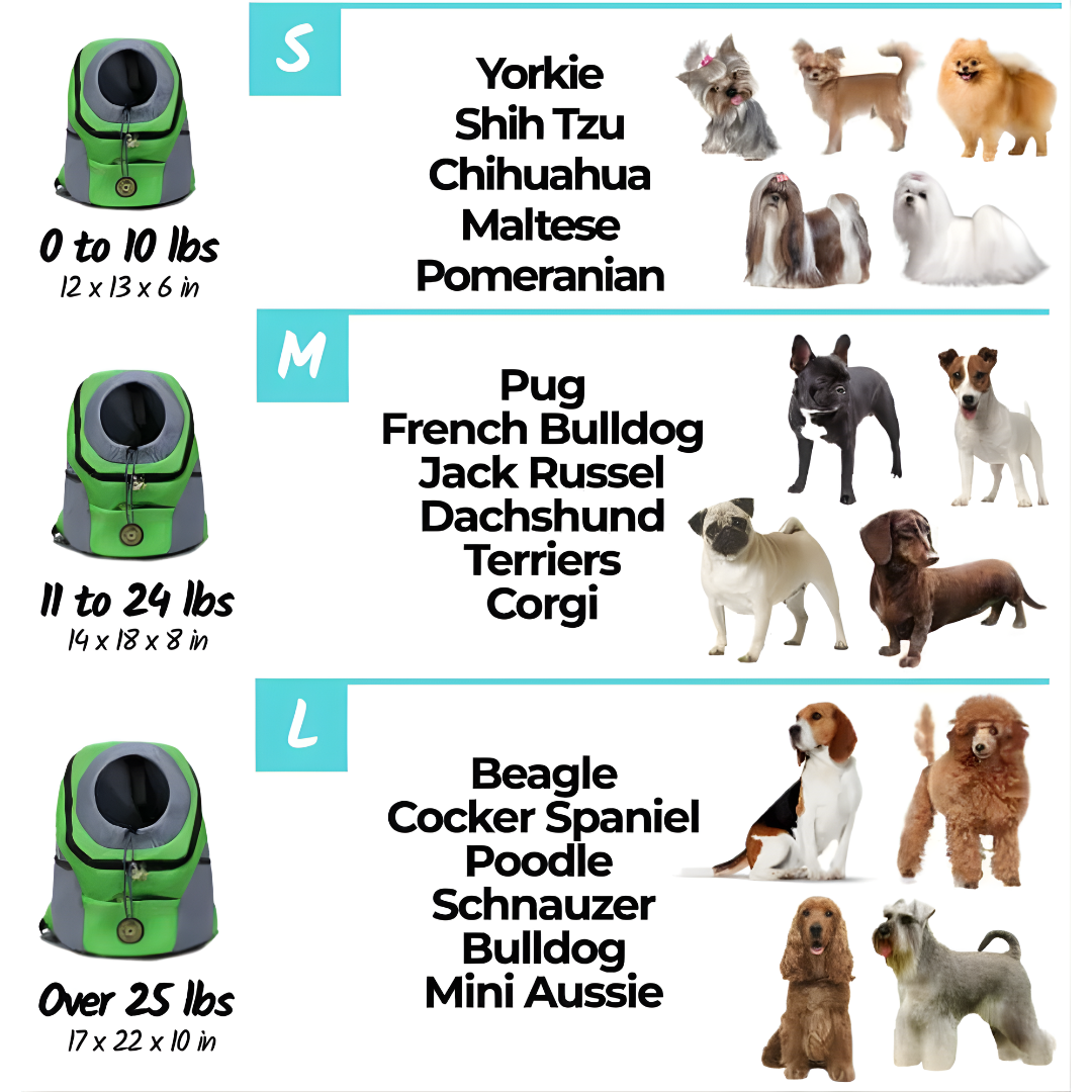 Pet Travel Backpack | Breathable Mesh & Padded Straps for Comfort