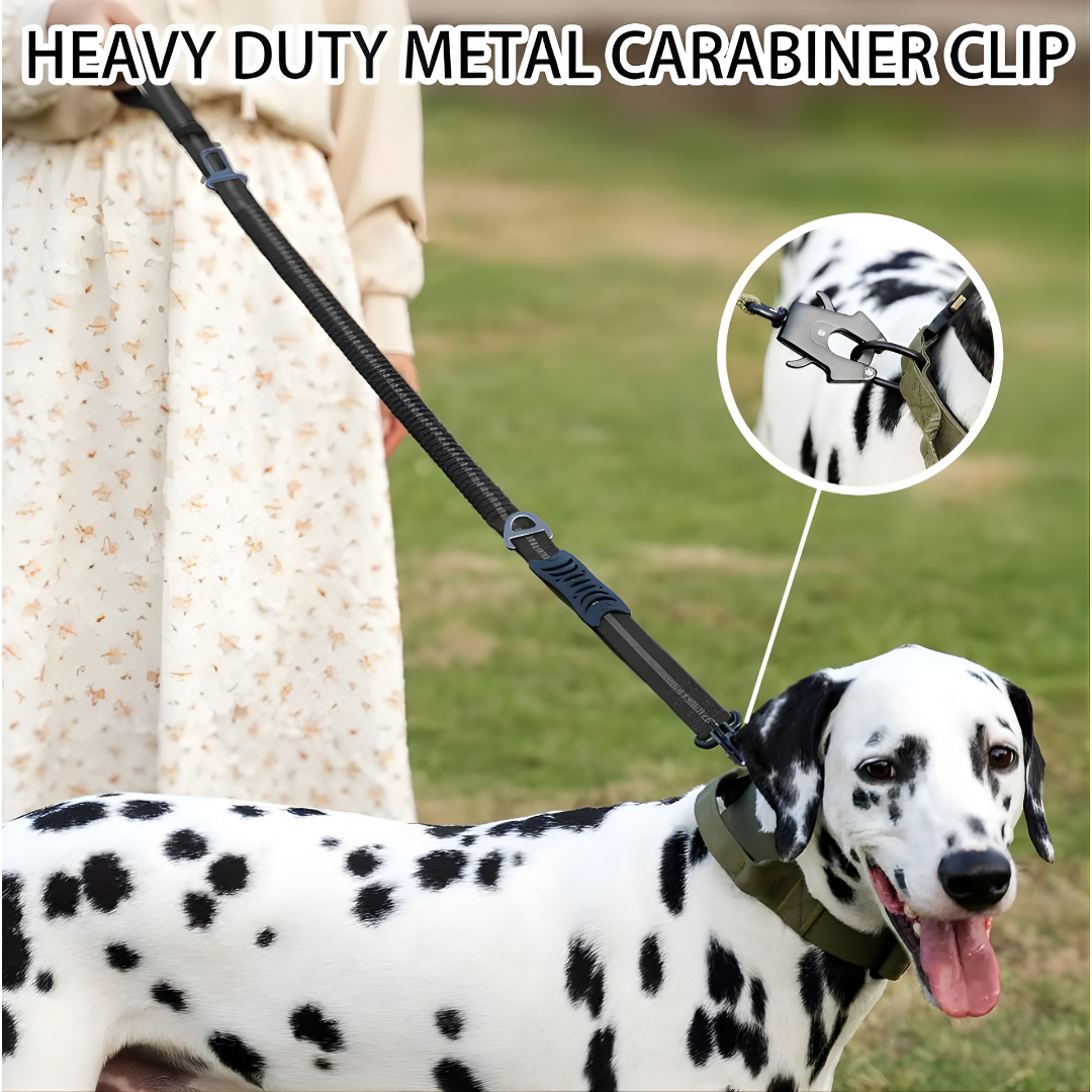 Tactical Bungee Dog Lead | Shock Absorbing, Car Safety & Control Handle