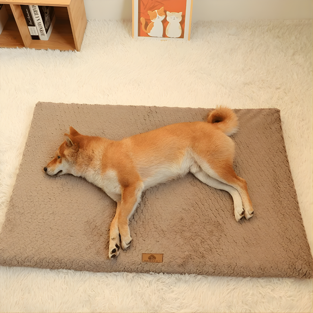 Orthopaedic Dog Bed | Washable Faux Fur & Joint Support