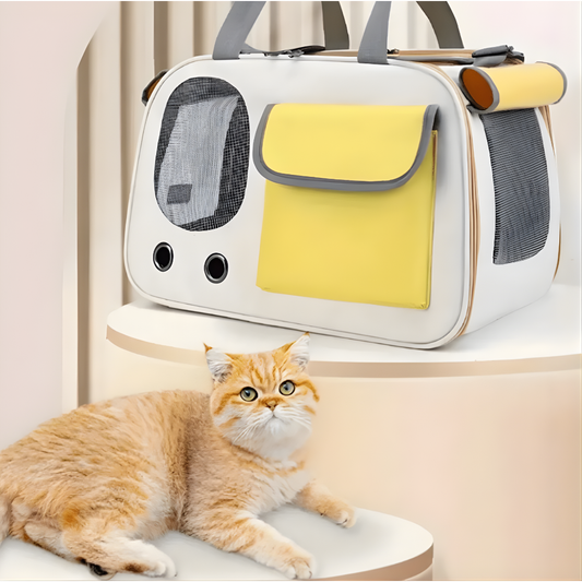 Travel Cat Carrier | Breathable Mesh, Foldable & Safe for Travel