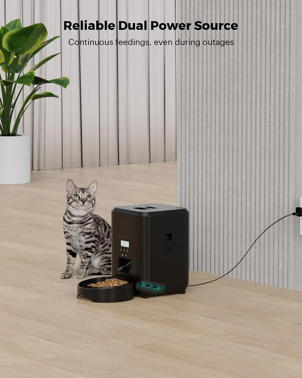 WiFi Automatic Pet Feeder | App Control, Programmable Timer & Voice