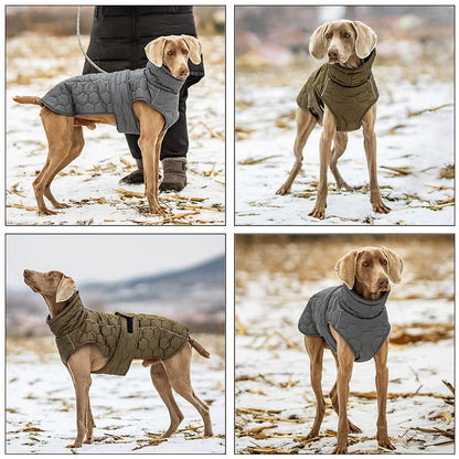 High Neck Dog Coat | Polar Fleece Lining & Reflective Winter Jacket