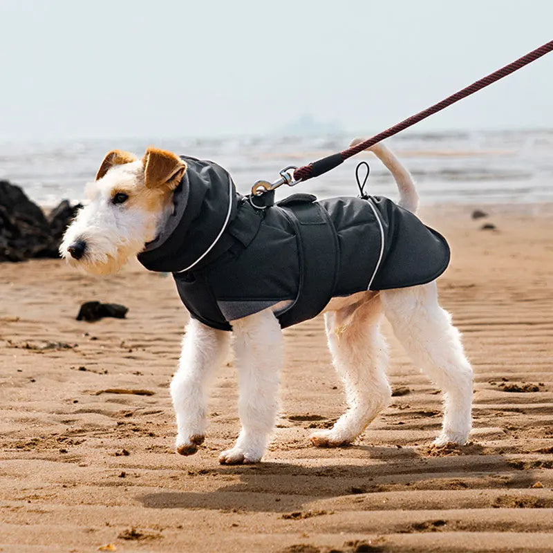 Waterproof Dog Coat with Harness | High Neck & Reflective Strips