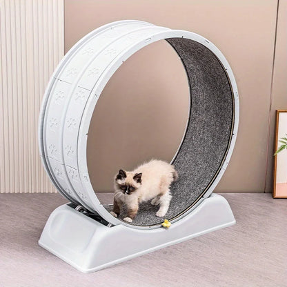Ultra-Quiet Cat Exercise Wheel – Indoor Running Treadmill with Lock