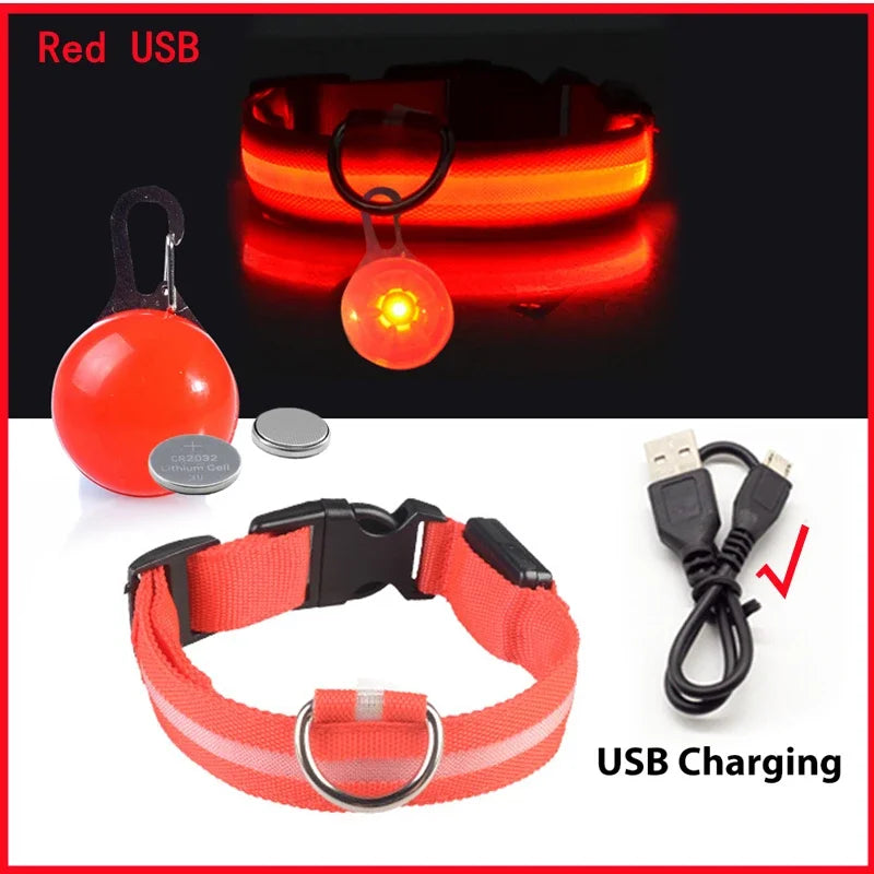 LED Dog Collar – Ultra-Bright Night Safety & USB Rechargeable