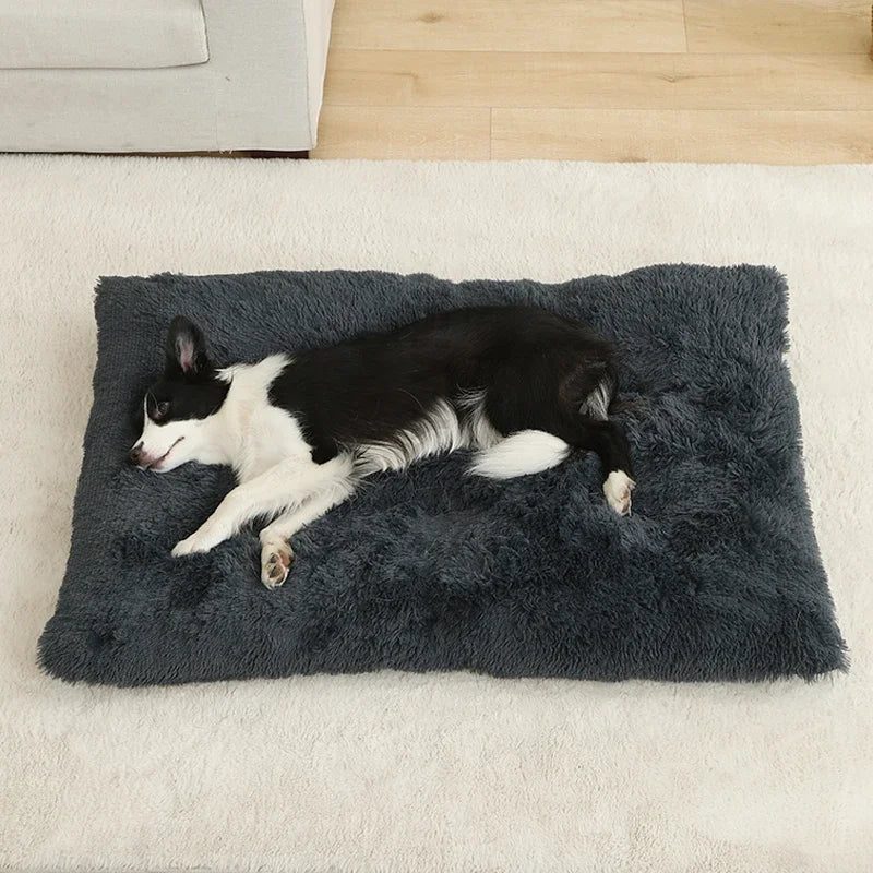 Soft Plush Calming Dog Bed – Anti-Anxiety & Orthopedic Comfort