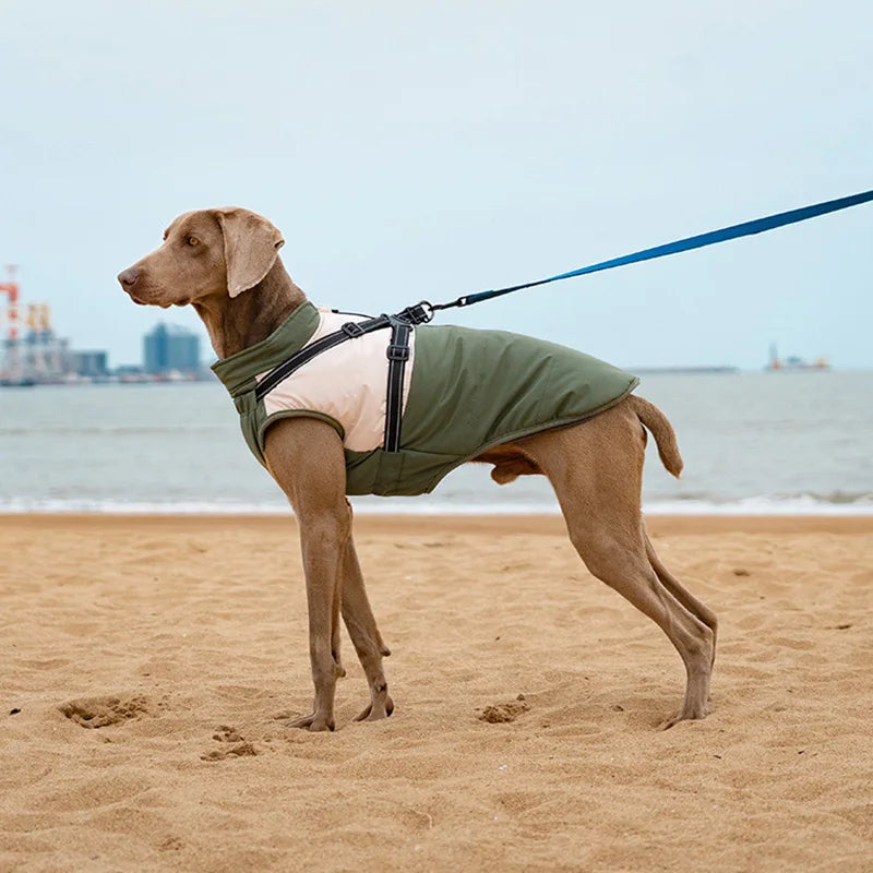 Waterproof Dog Coat with Harness | High Neck & Reflective Strips