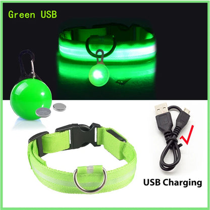 LED Dog Collar – Ultra-Bright Night Safety & USB Rechargeable