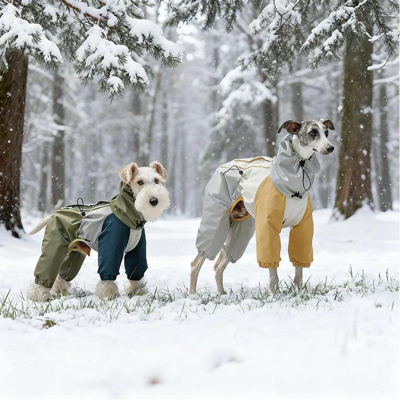 Dog Snow Suit | Waterproof Mud-Proof Full-Body Protection