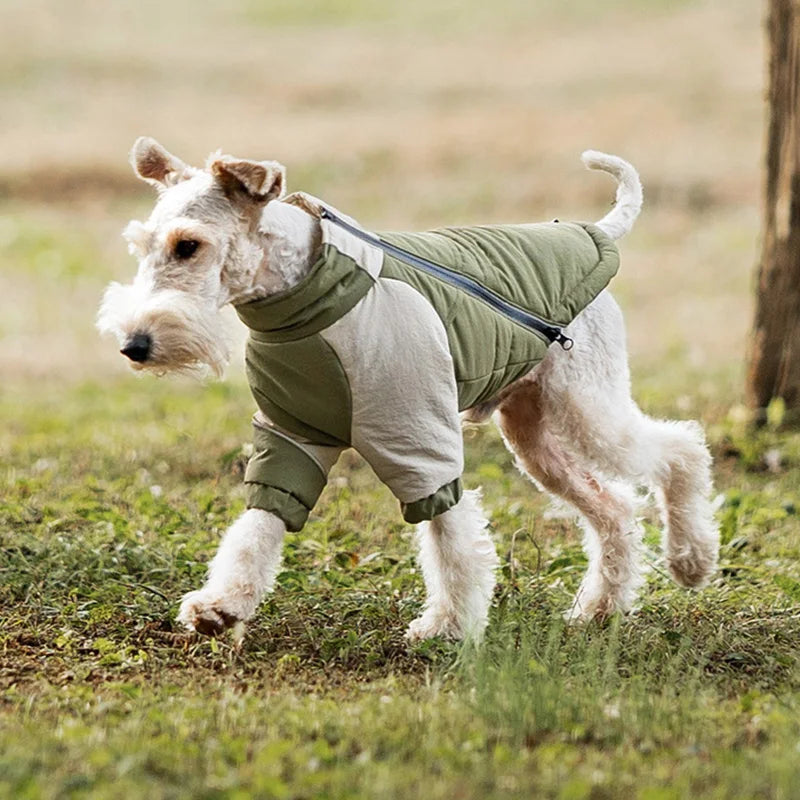 Winter Waterproof Dog Coat | Thermal Filling & Back Zip Fit