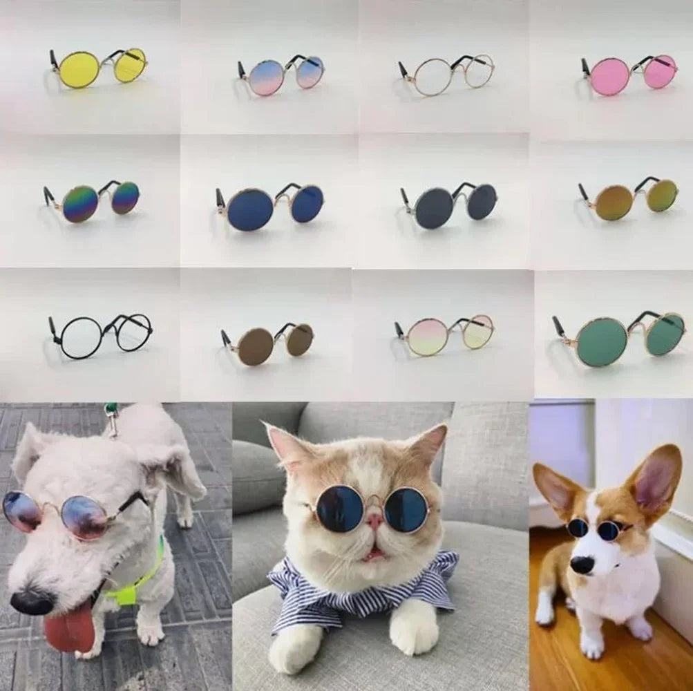 Pet Sunglasses – Trendy Retro Eyewear for Cats & Small Dogs