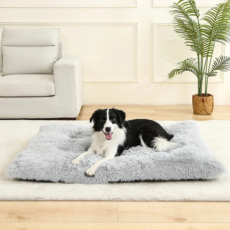 Soft Plush Calming Dog Bed – Anti-Anxiety & Orthopedic Comfort