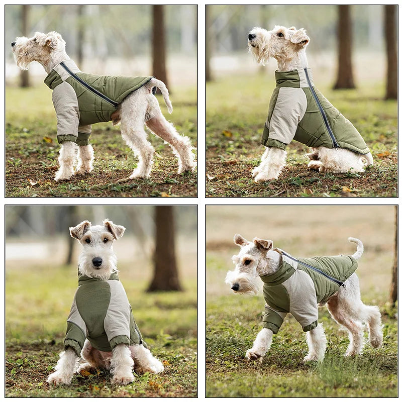 Winter Waterproof Dog Coat | Thermal Filling & Back Zip Fit