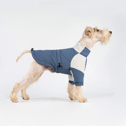 Winter Waterproof Dog Coat | Thermal Filling & Back Zip Fit