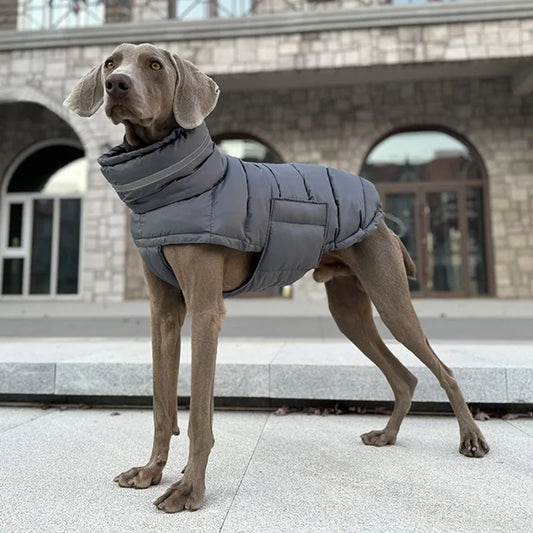 Waterproof Winter Dog Coat | High Neck, Thermal & Reflective Design