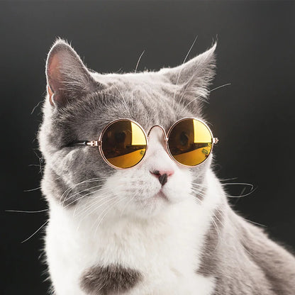 Pet Sunglasses – Trendy Retro Eyewear for Cats & Small Dogs