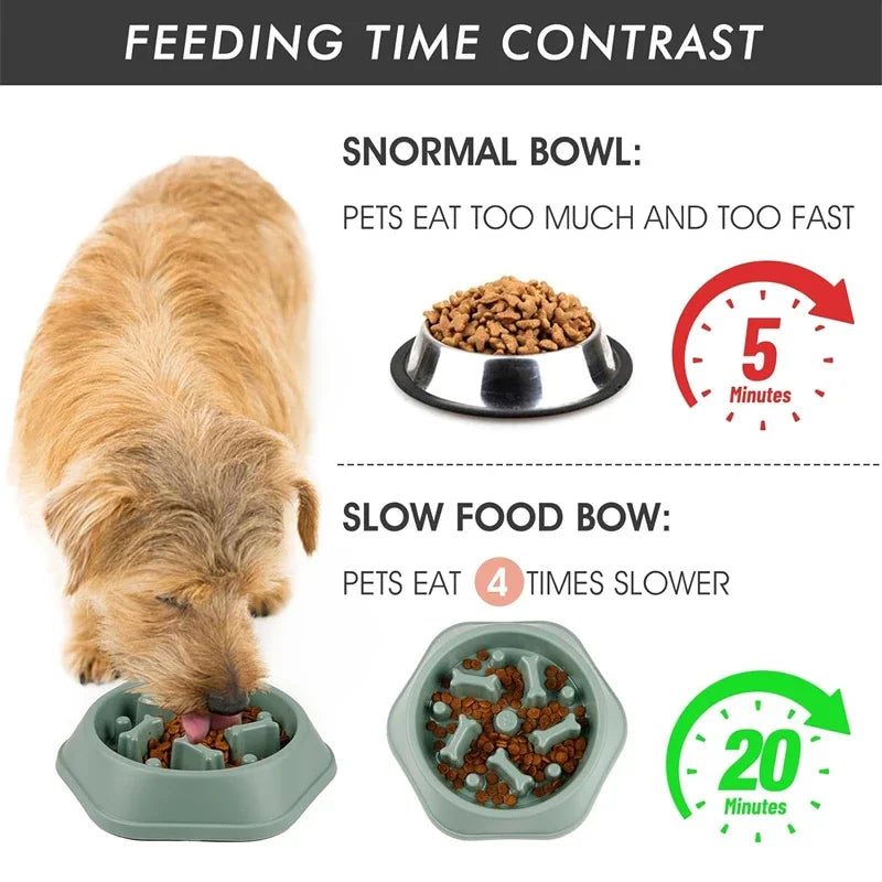 Anti-Choking Slow Feeder Dog Bowl – Digestive Health Puzzle Dish