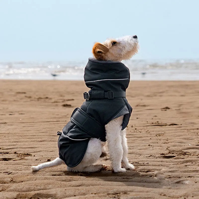 Waterproof Dog Coat with Harness | High Neck & Reflective Strips