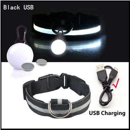 LED Dog Collar – Ultra-Bright Night Safety & USB Rechargeable