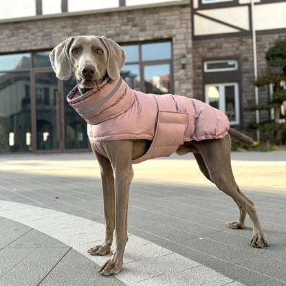 Waterproof Winter Dog Coat | High Neck, Thermal & Reflective Design