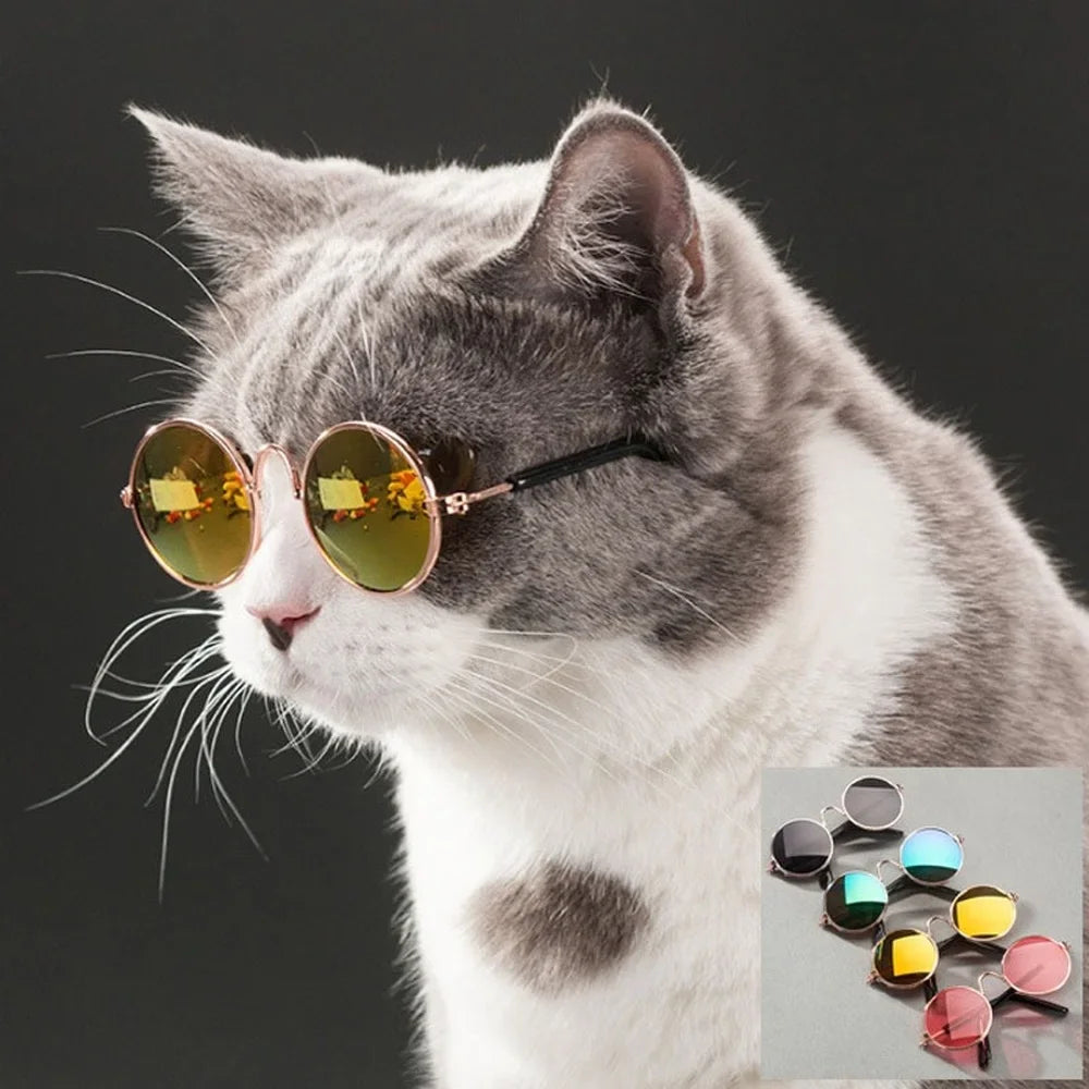 Pet Sunglasses – Trendy Retro Eyewear for Cats & Small Dogs