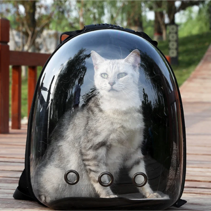 Breathable Clear Bubble Cat Backpack – Panoramic Space Capsule Carrier