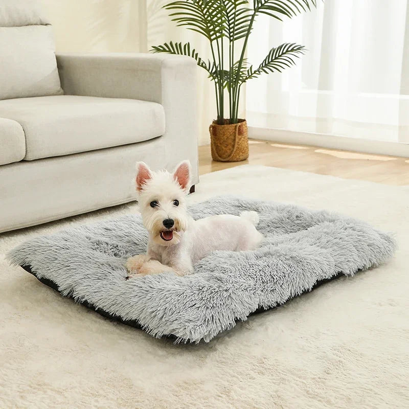 Soft Plush Calming Dog Bed – Anti-Anxiety & Orthopedic Comfort