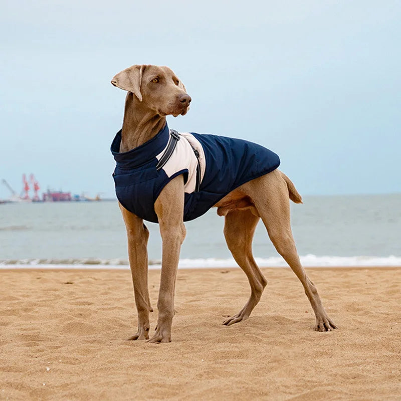 Waterproof Dog Coat with Harness | High Neck & Reflective Strips