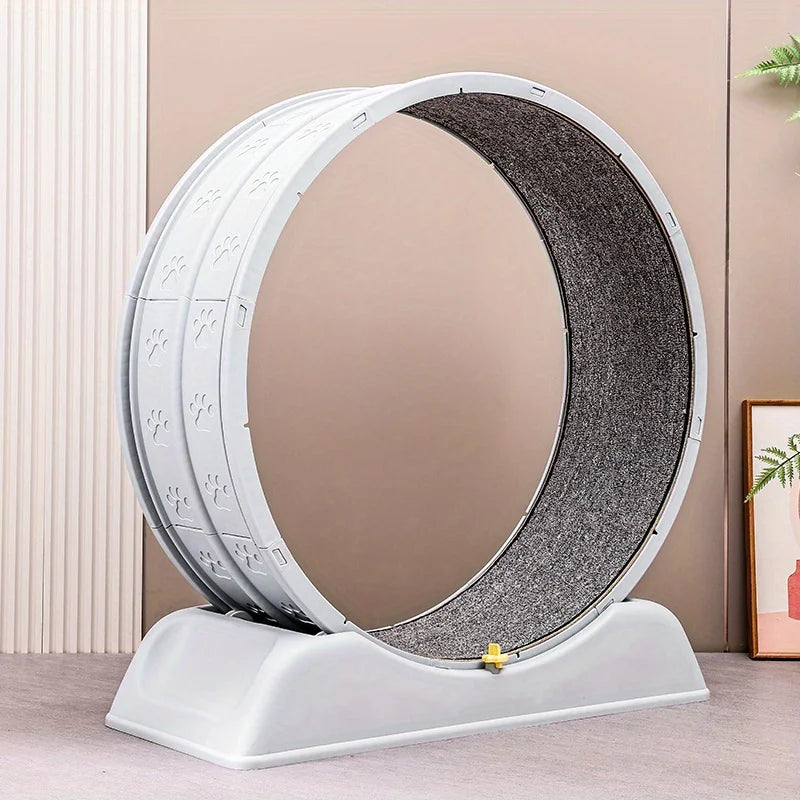 Ultra-Quiet Cat Exercise Wheel – Indoor Running Treadmill with Lock