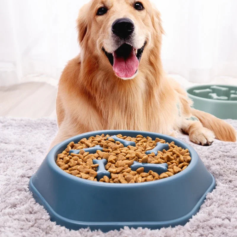 Anti-Choking Slow Feeder Dog Bowl – Digestive Health Puzzle Dish