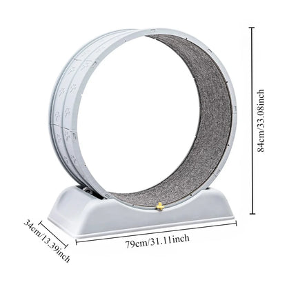 Ultra-Quiet Cat Exercise Wheel – Indoor Running Treadmill with Lock