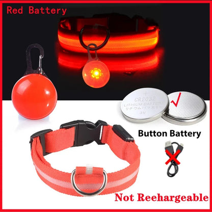 LED Dog Collar – Ultra-Bright Night Safety & USB Rechargeable