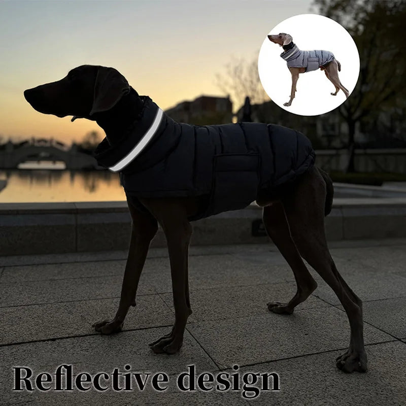 Waterproof Winter Dog Coat | High Neck, Thermal & Reflective Design